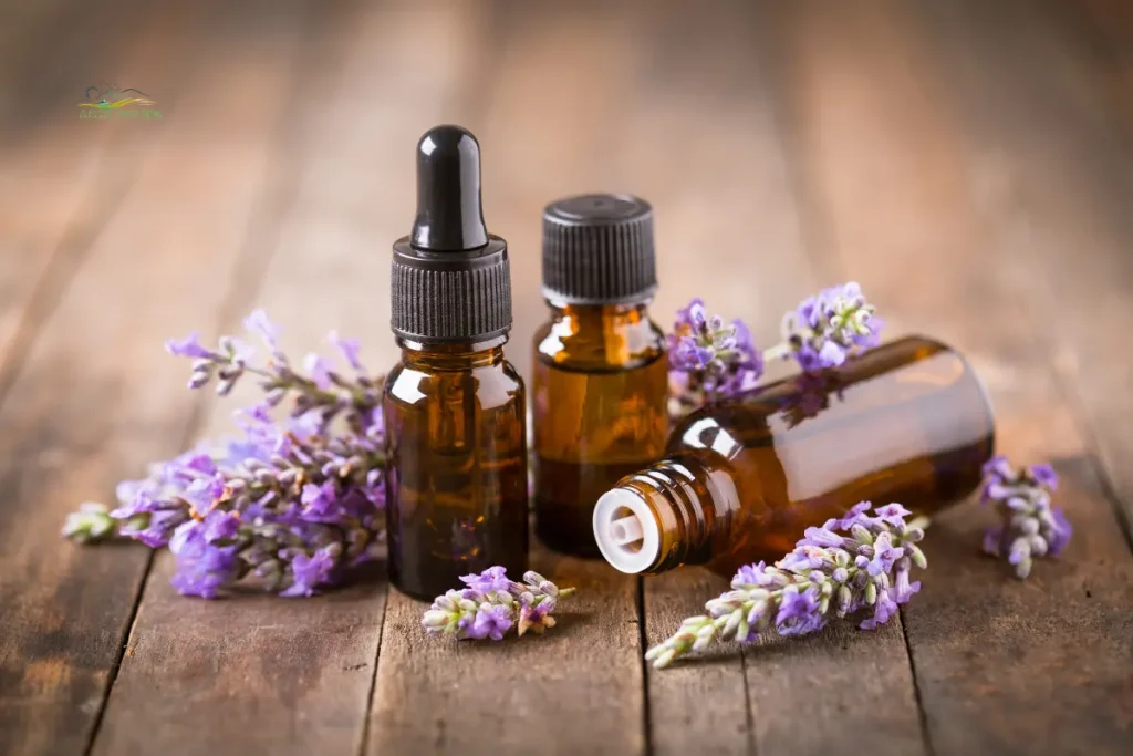 Aromatherapy Massage Equipment used for Aromatherapy Massage Benefits with essential oils to promote relaxation, stress relief, and wellness.